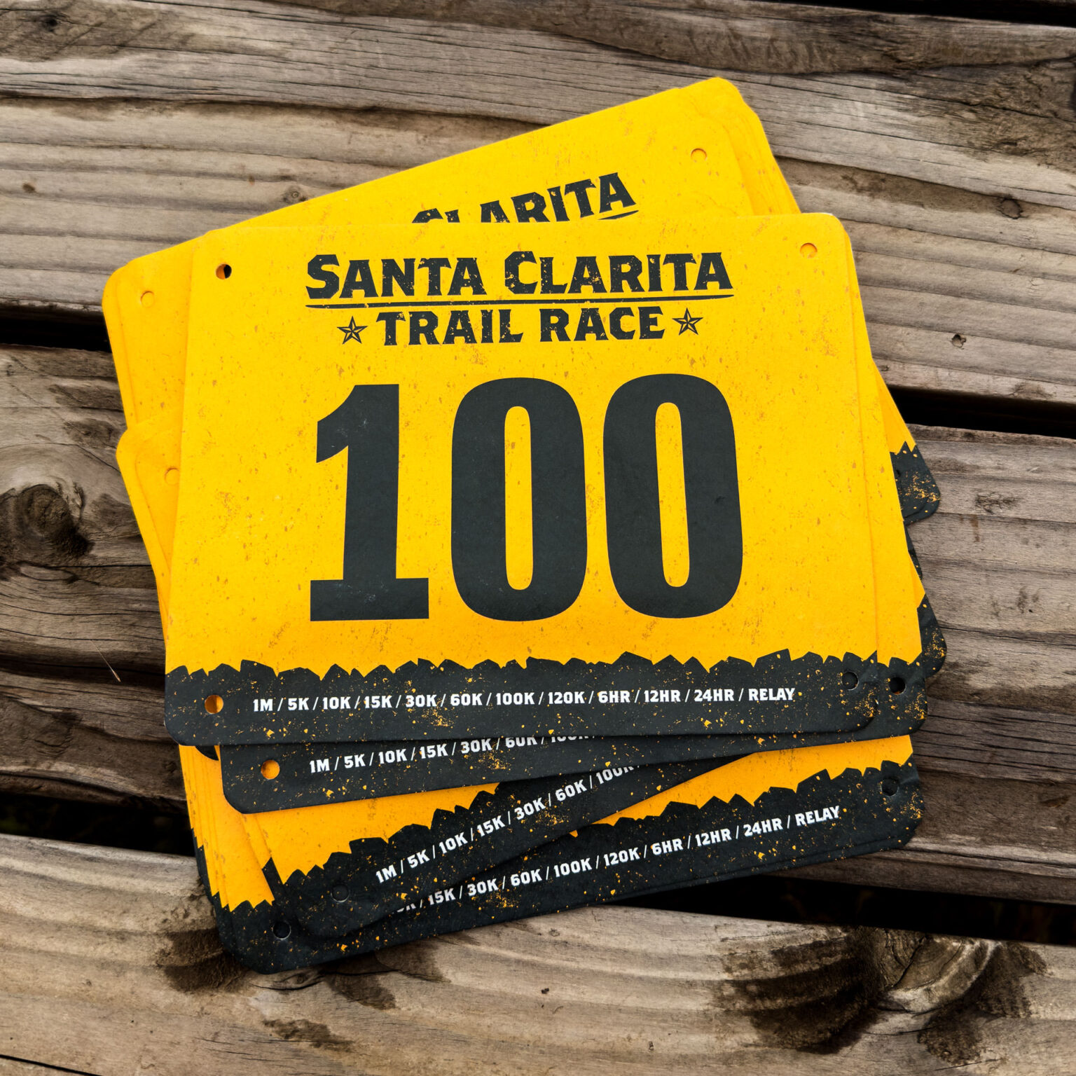 2026 Bib Design